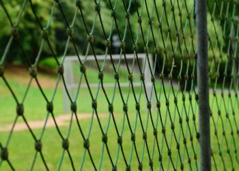 zdjęcie ilustracyjne/Pixabay