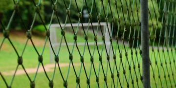 zdjęcie ilustracyjne/Pixabay