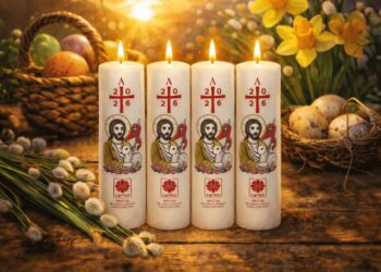 zdjęcie ilustracyjne/Caritas Diecezji Zielonogórsko-Gorzowskiej