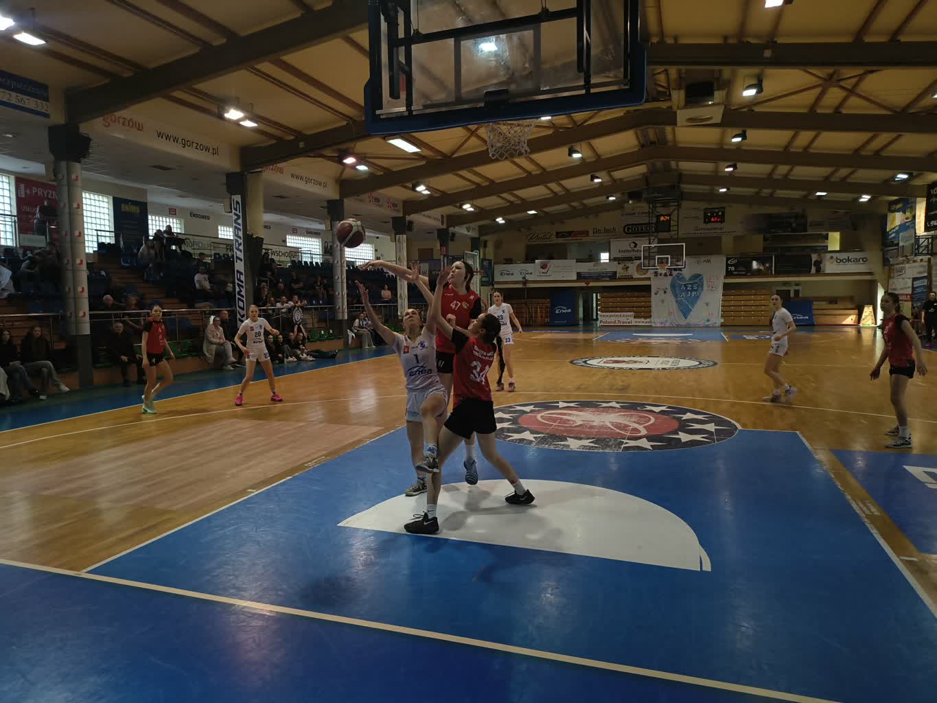 Kadetki AZS AJP w półfinale mistrzostw Polski