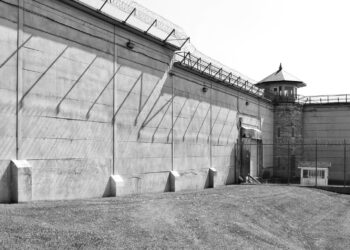 Fot: Jake Parkinson Pixabay