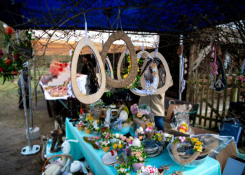 fot. Krzysztof Filmanowicz