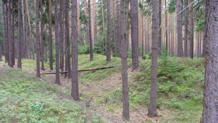 fot. M. Boryna - Biuro Turystyki i Edukacji Regionalnej UM Szprotawa