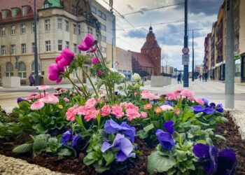 fot. archiwum/ UM Gorzów