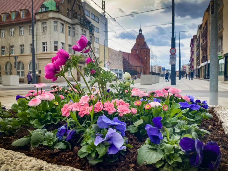 fot. archiwum/ UM Gorzów