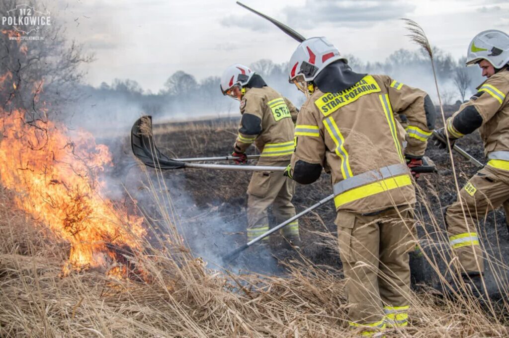 stop pożarom traw