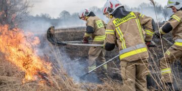 stop pożarom traw