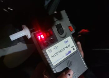 fot. KMP w Zielonej Górze/Facebook