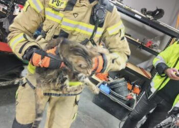 foto:KMPSP w Gorzowie