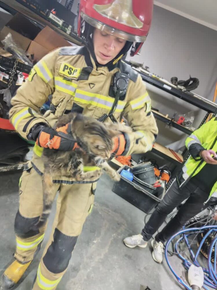 foto:KMPSP w Gorzowie