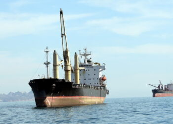 Statki towarowe w Zatoce Perskiej. Fot. PAP/EPA/ABEDIN TAHERKENAREH