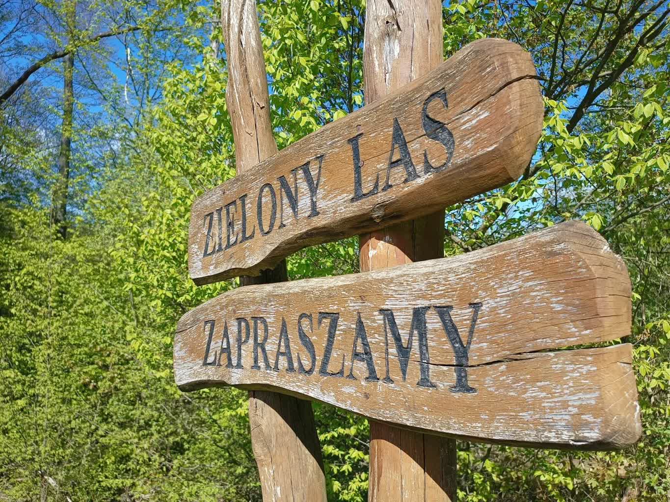 Marszem po Zielonym Lesie Żaranie wspomną papieża