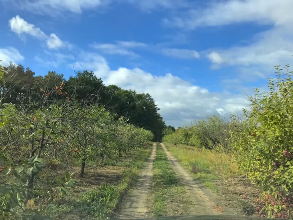 fot. Wiśniowe Wzgórza/ facebook