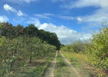 fot. Wiśniowe Wzgórza/ facebook