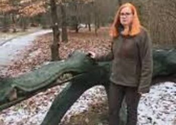 fot. Nadleśnictwo Rzepin