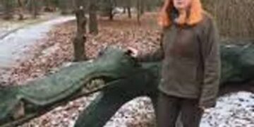 fot. Nadleśnictwo Rzepin