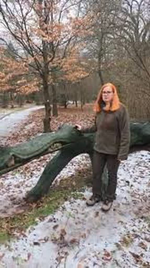 Anna Gandecka – rzeczniczka Nadleśnictwa Rzepin