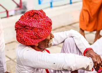 zdjęcie ilustracyjne/Pixabay