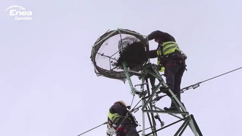 Fot. Screen z nagrania zamieszczonego na stronie media.enea.pl