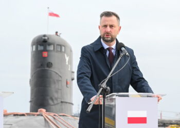 Władysław Kosiniak-Kamysz (PAP/Andrzej Jackowski)