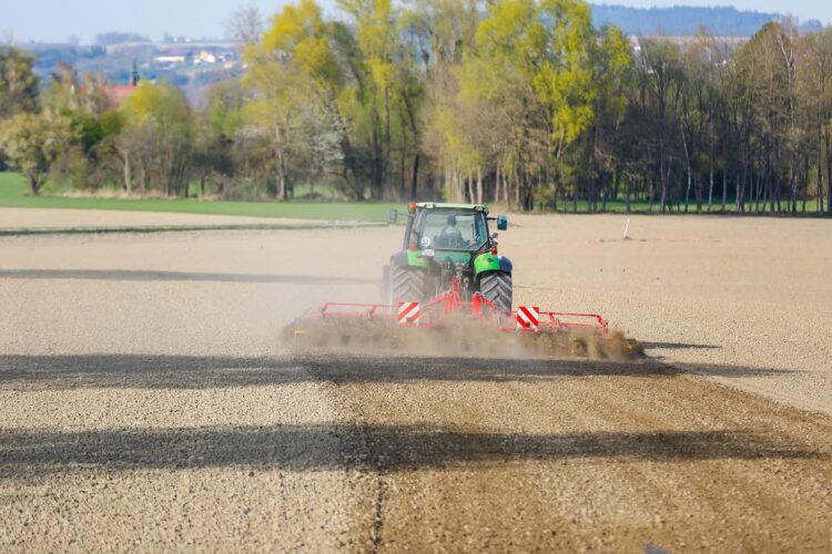 Zdjęcie ilustracyjne. Fot. Pixabay