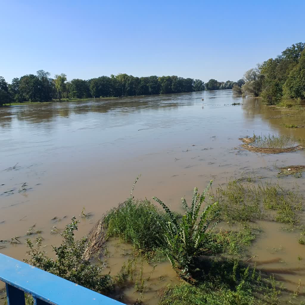 Piąta edycja „Czystej Odry”
