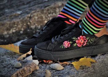 zdjęcie ilustracyjne fot: Pixabay