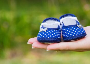 zdjęcie ilustracyjne/Pixabay