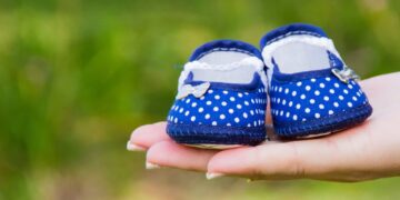 zdjęcie ilustracyjne/Pixabay