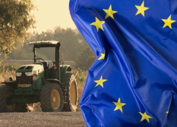 Kolaż zdjęć Freepik i Pixabay