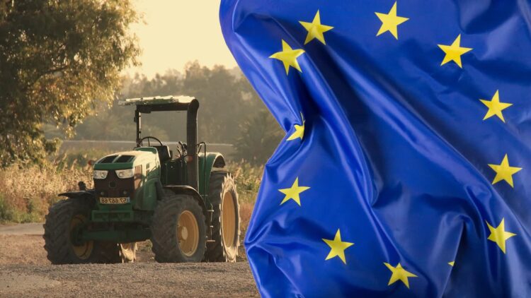 Kolaż zdjęć Freepik i Pixabay