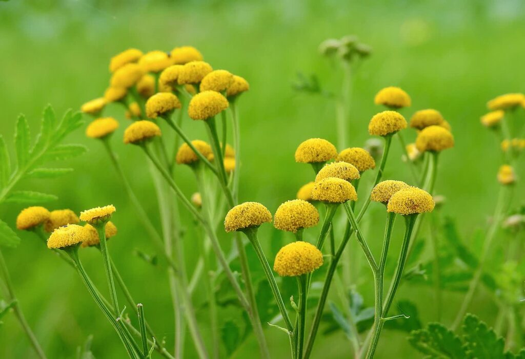 zdjęcie ilustracyjne/Pixabay