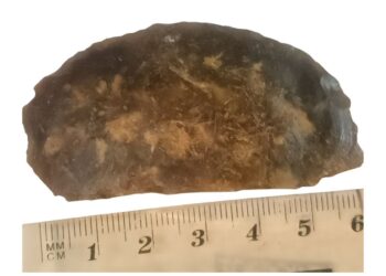 fot. Żagańskie Stowarzyszenie Ratowania i Ochrony Zabytków