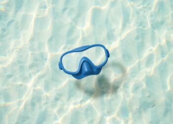 zdjęcie ilustracyjne/Pixabay