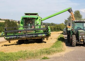 Zdjęcie ilustracyjne. Fot. Pixabay