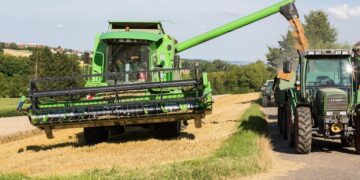 Zdjęcie ilustracyjne. Fot. Pixabay