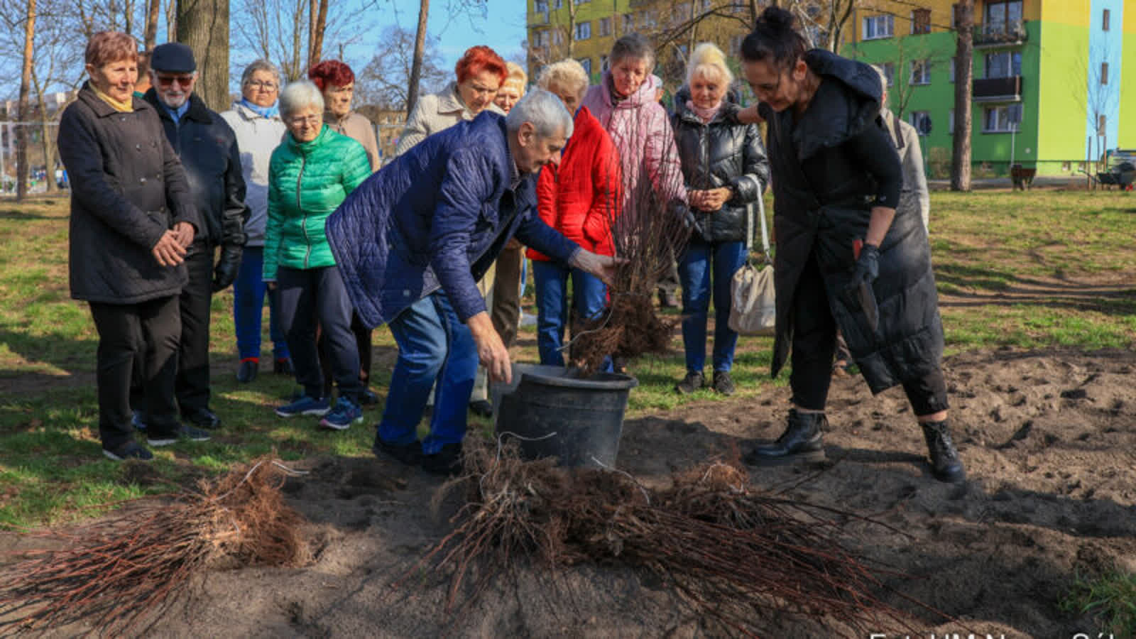 Zazielenianie skweru przy ulicy Wojska Polskiego w Nowej Soli