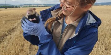 Dr Urszula Eichert i chomik europejski