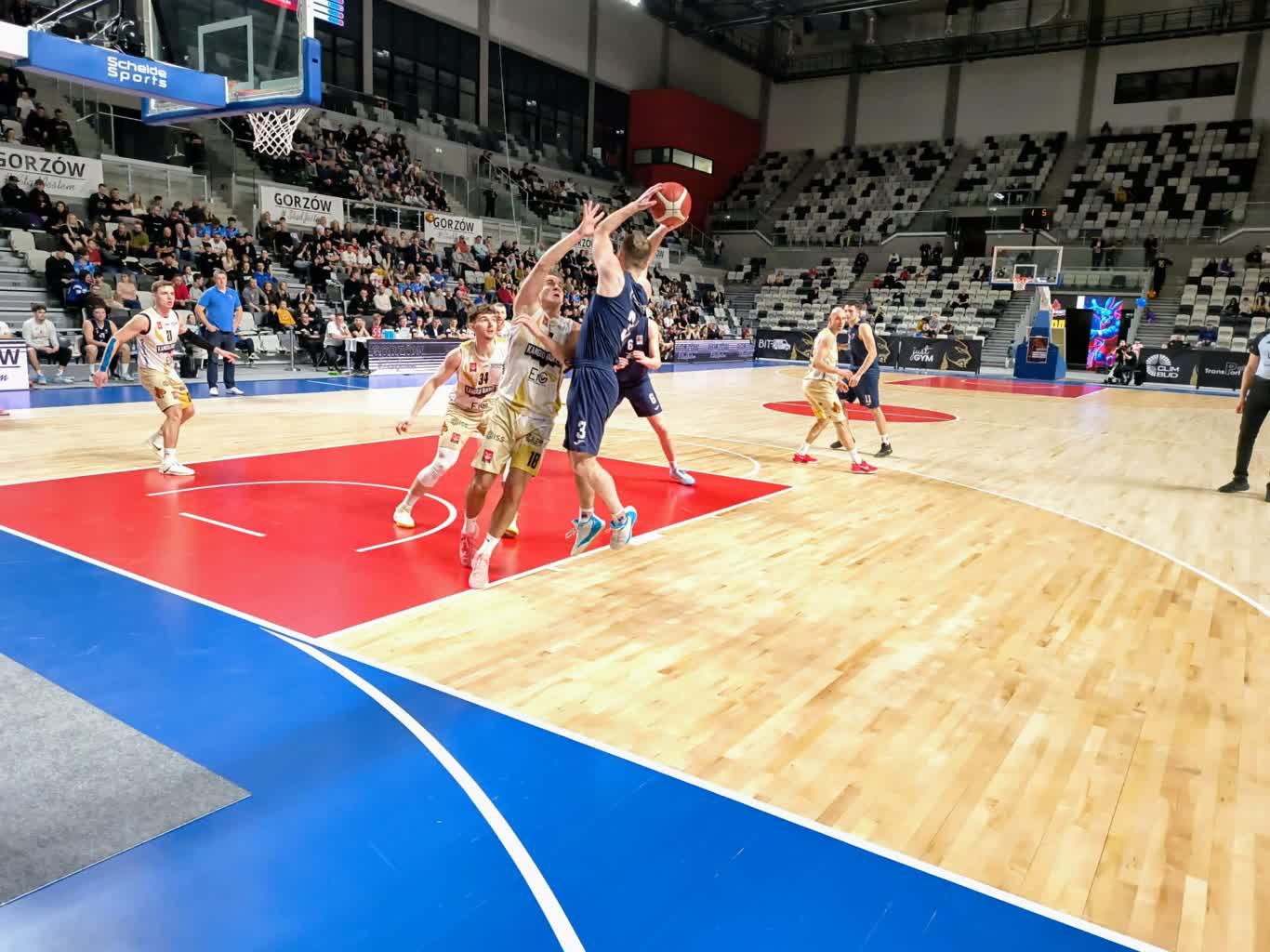 Kolejne punkty Kangoo Basket