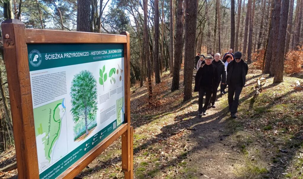 Ścieżka dydaktyczna na terenie rezerwatu Bukowa Góra w gminie Otyń (fot. Piotr Bakselerowicz)