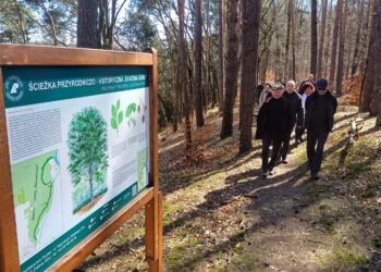 Ścieżka dydaktyczna na terenie rezerwatu Bukowa Góra w gminie Otyń (fot. Piotr Bakselerowicz)