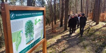 Ścieżka dydaktyczna na terenie rezerwatu Bukowa Góra w gminie Otyń (fot. Piotr Bakselerowicz)