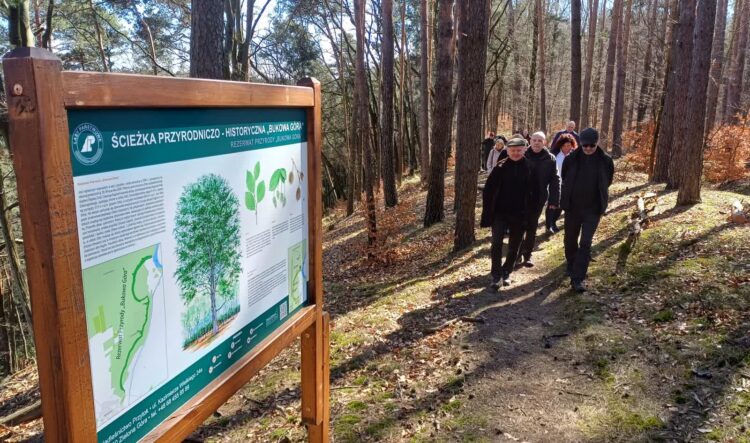 Ścieżka dydaktyczna na terenie rezerwatu Bukowa Góra w gminie Otyń (fot. Piotr Bakselerowicz)