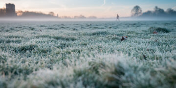 Zdjęcie ilustracyjne. Fot. Freepik