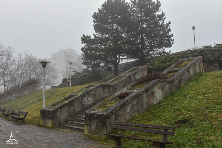 fot. Urząd Miasta Zielona Góra