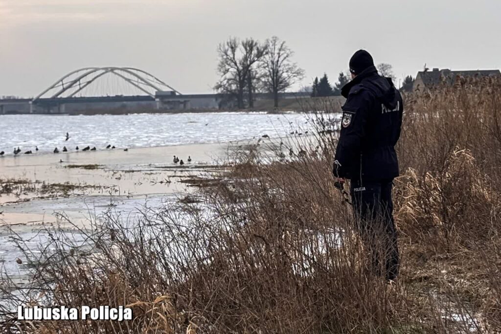 Fot. Policja Gorzów archiwum