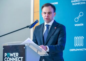 Andrzej Domański, fot. PAP/Marcin Gadomski