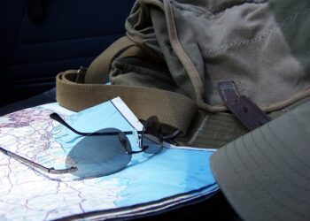 zdjęcie ilustracyjne/Pixabay