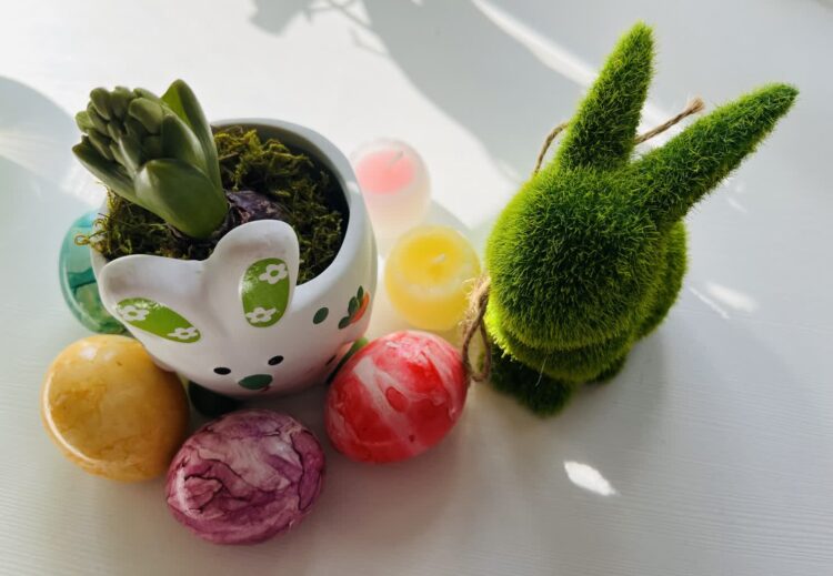 Fot. Piotr Wiśniewski