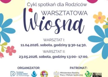 grafika: materiały organizatora